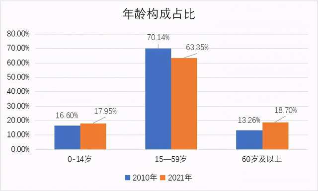 人口老龄化使中国面临的问题_浅谈中国人口老龄化的基本形式及面临的主要问