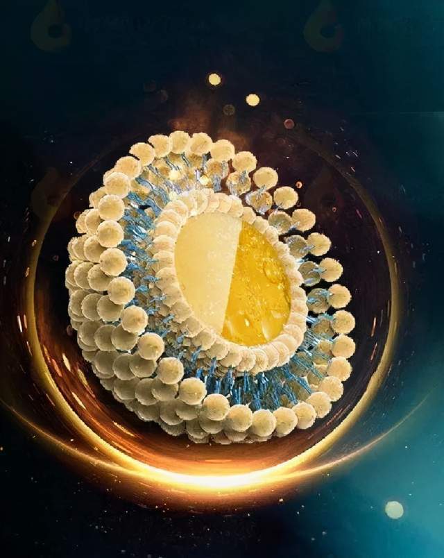 71微囊包裹技术713r修复技术超临界二氧化碳萃取技术专利技术