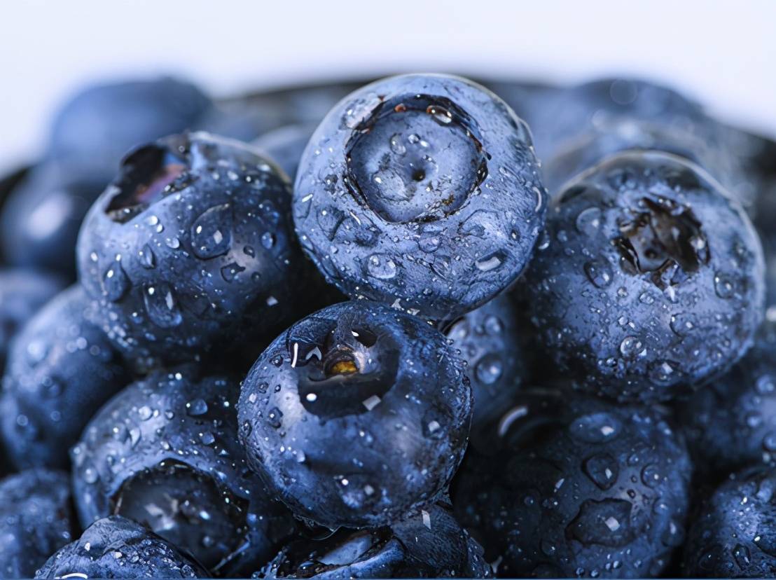 云南蓝莓来啦盛夏与你共度莓好时光