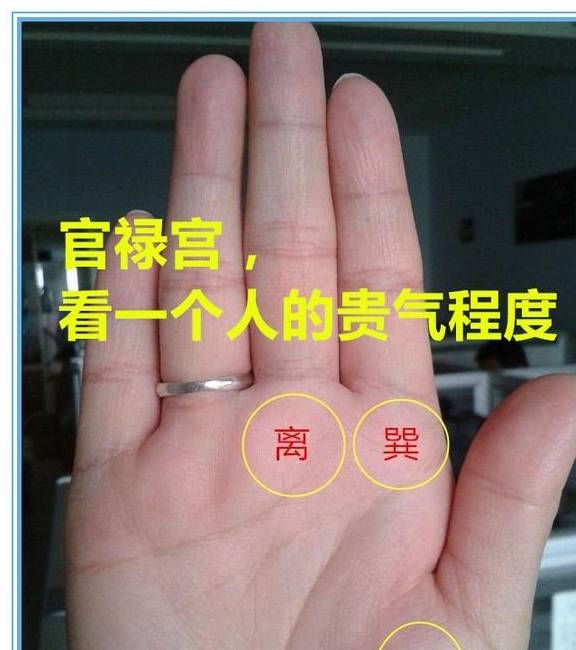 什么是三角纹的位置 276873de7ac94e0c8c78f6f82000d785.jpeg