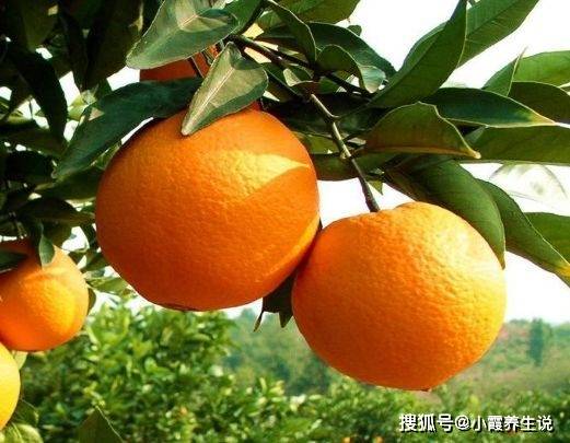 2ffa83e8e5a34e6aa4496e982b5a0b02.jpeg