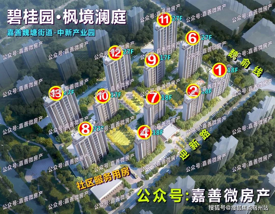 千呼萬喚始出來嘉善萬聯城正南地王春山可望設計方案公示