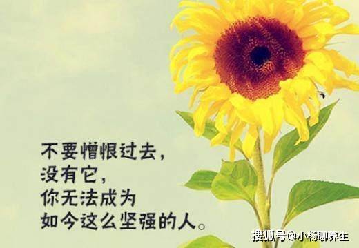 e63ed6b514b041508fa769b8d9ef7313.jpeg