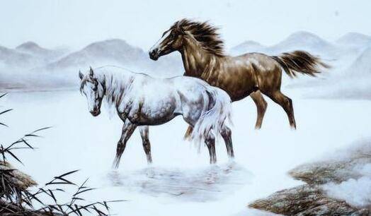 马到成功打一个生肖，独家视角解读