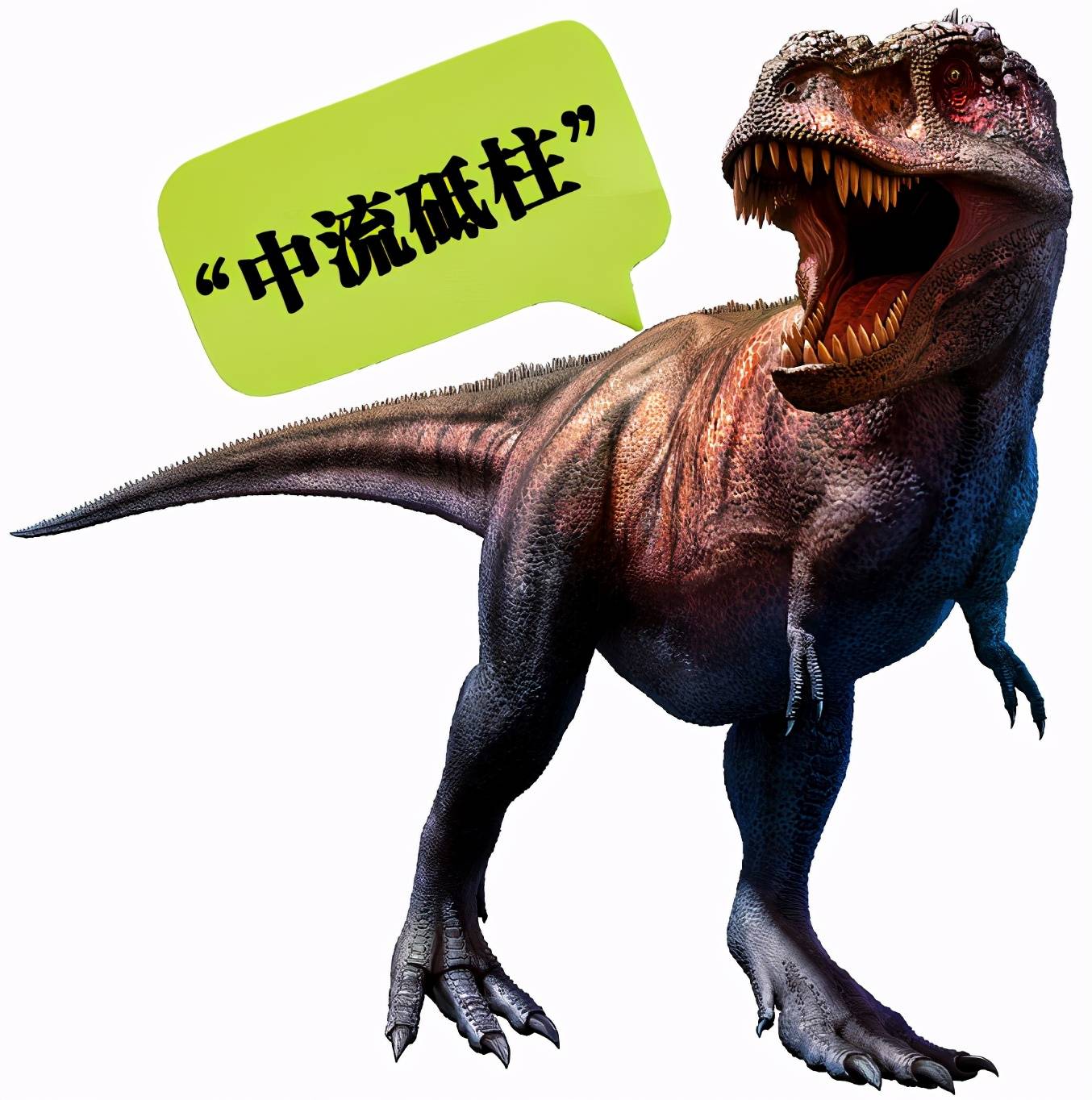 最帅擒龙师·2021-06-15中国国医日,这些中医上治疗常见重大疾病的