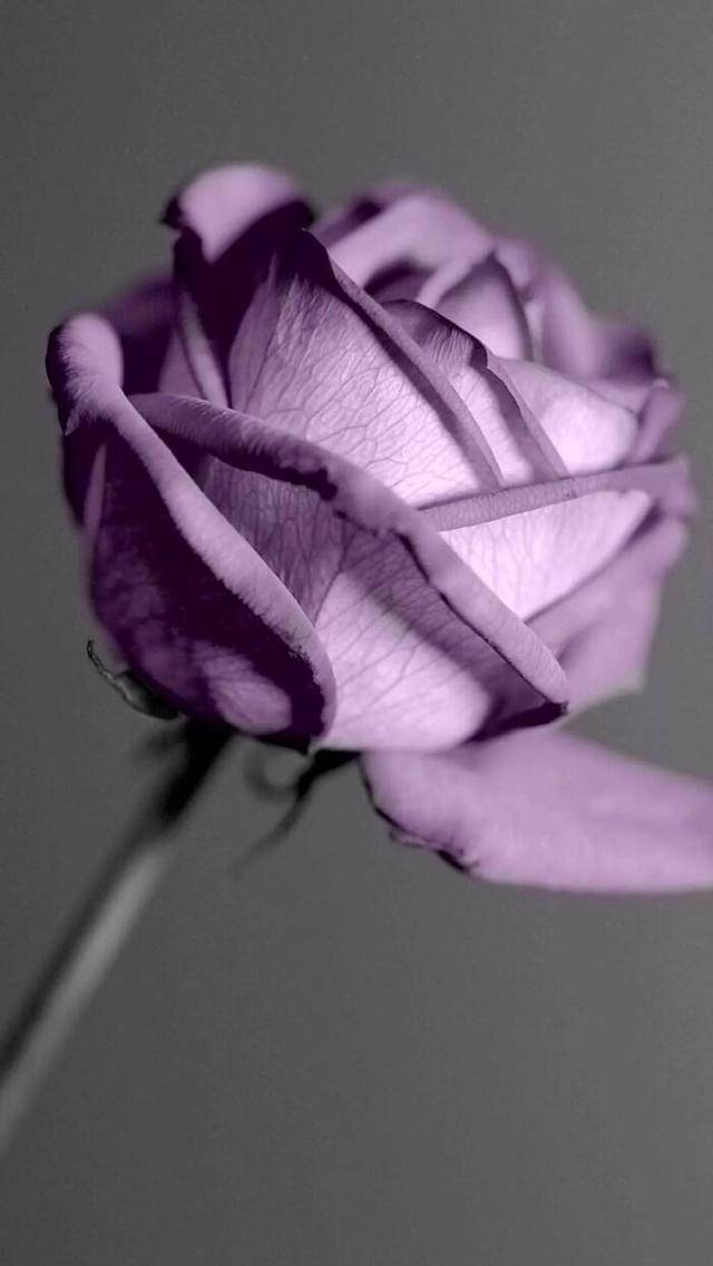 37f5240cdb1c45d49441a38d9bba8bc5.jpeg