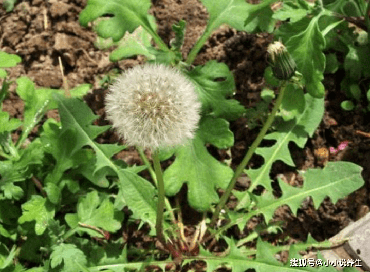 6090eb94efbe4edf9dac5344d98c4f30.png