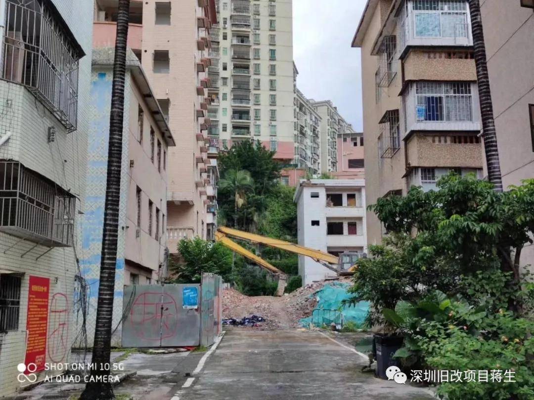 京基地产布吉木棉湾城市更新旧改单元