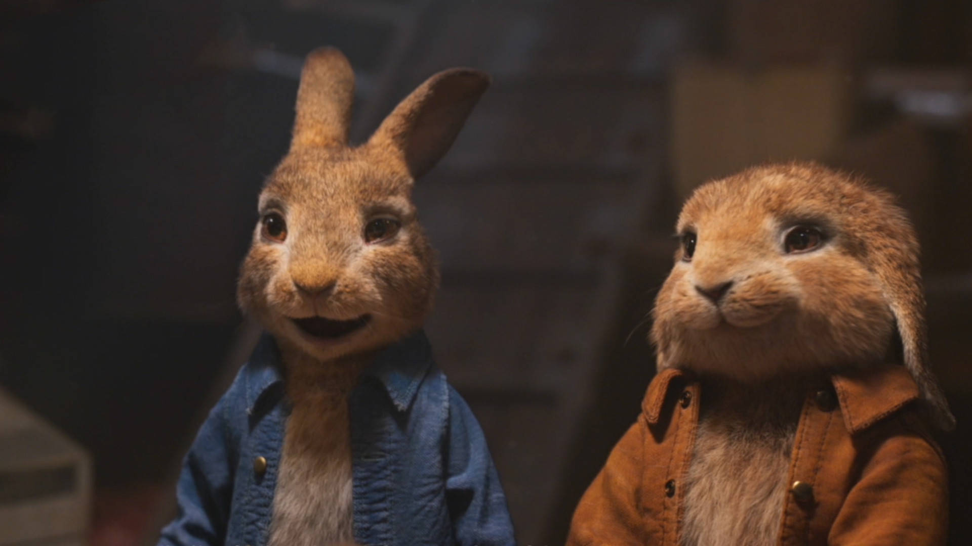 比得兔2没有讲完的爱情故事裁缝和那个女的后来怎么样了