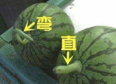 0d992b15d3bf485dab0dd8593c2a35cd.jpeg