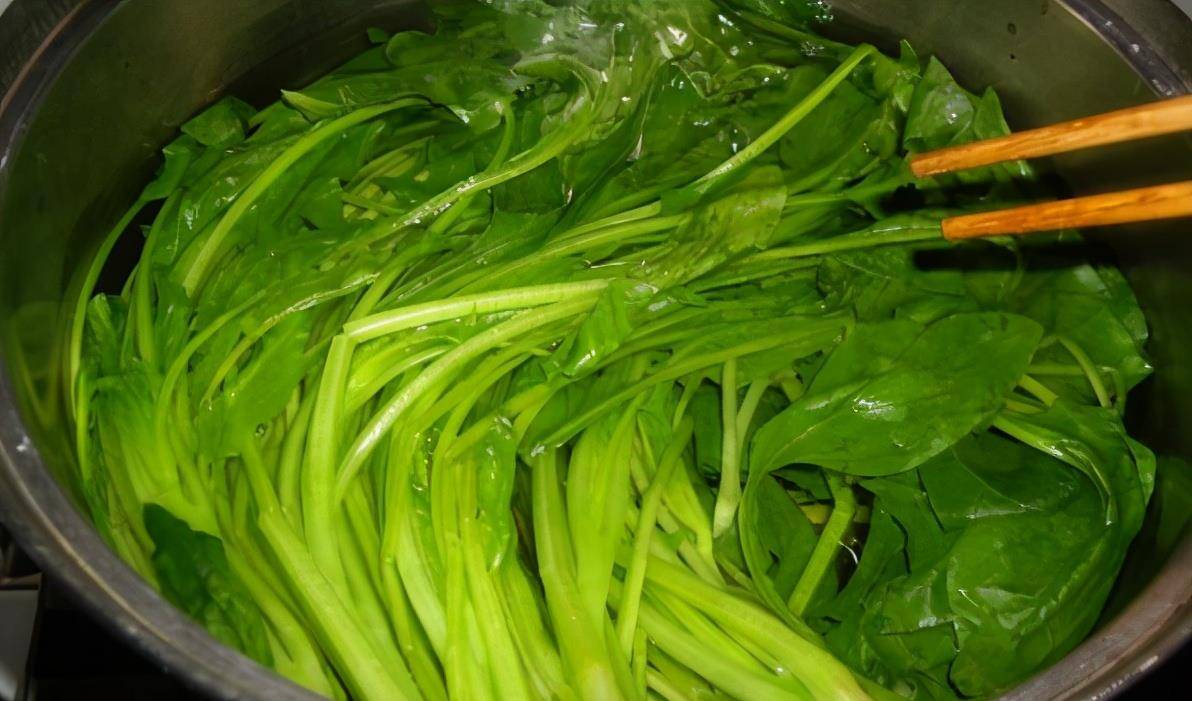 什么时候种大葱花 c9e766b603e046009d5b8137bc046a4f.jpeg