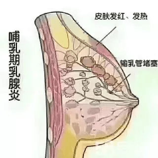 cbad5b9a5cd64e1a8f249da7a4063a15.png