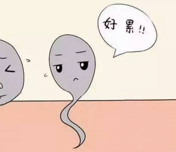 什么是死精子症 0e64e042b1f648f692d89c23cf08cb14.jpeg