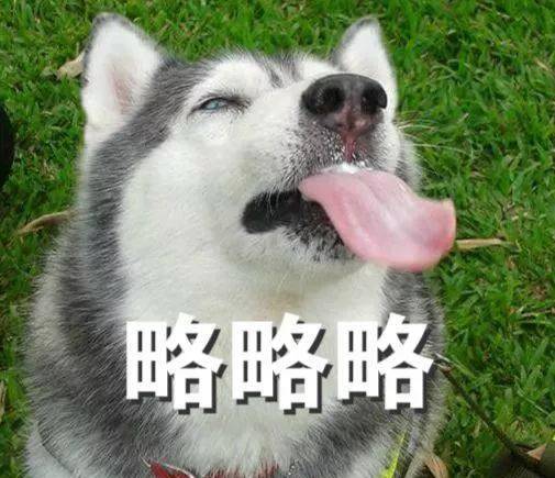 8b24c5da030e4e2db28cca6c4a5b6237.jpeg