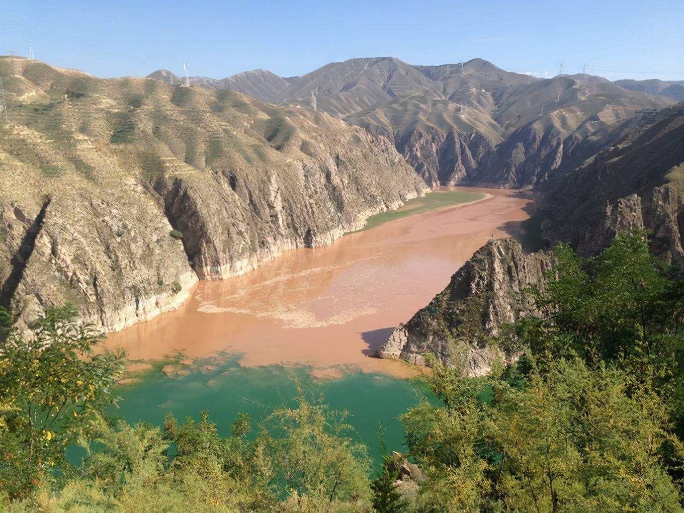 黄河故道夏津西闫一村,为何被称为长寿之地,只因这里有种稀罕物