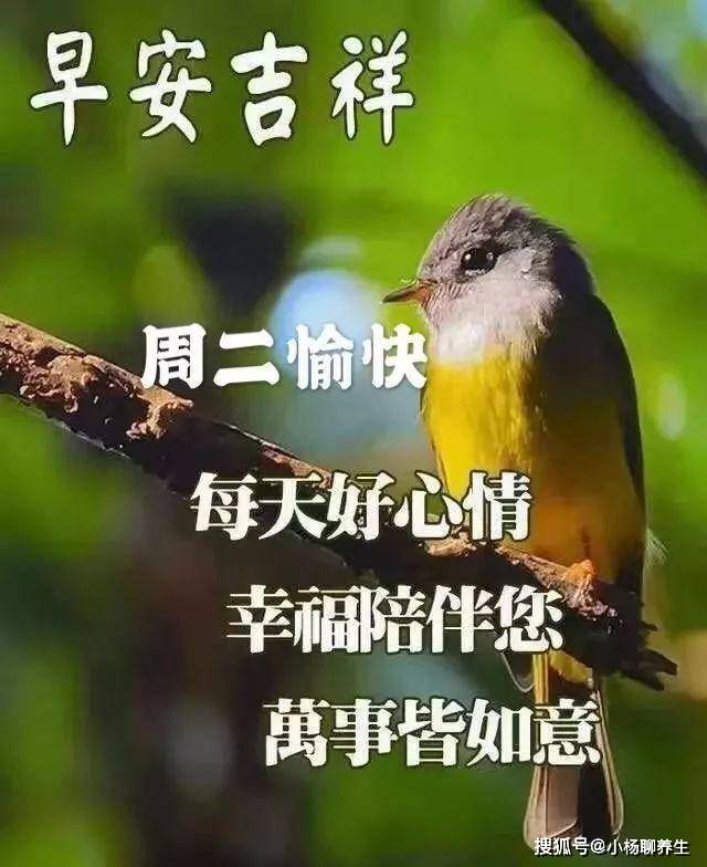 原創唯美的清晨祝福圖片表情週二早上好問候語溫馨句子