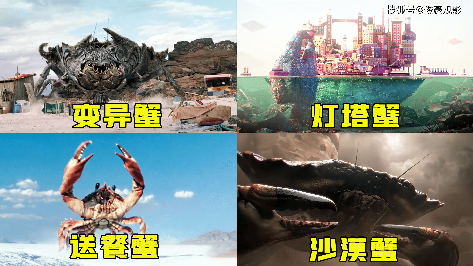 灯塔蟹能支撑起一座城市