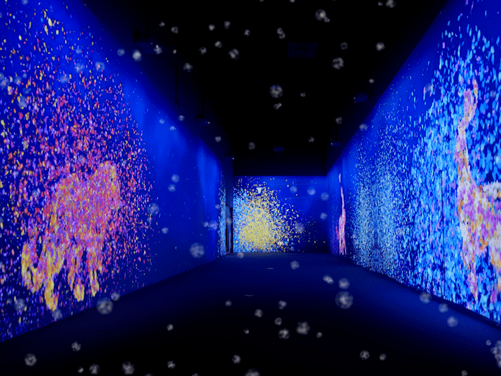 东北首家斥资千万打造沉浸式艺术馆震撼开启!带你进入奇幻光影世界!