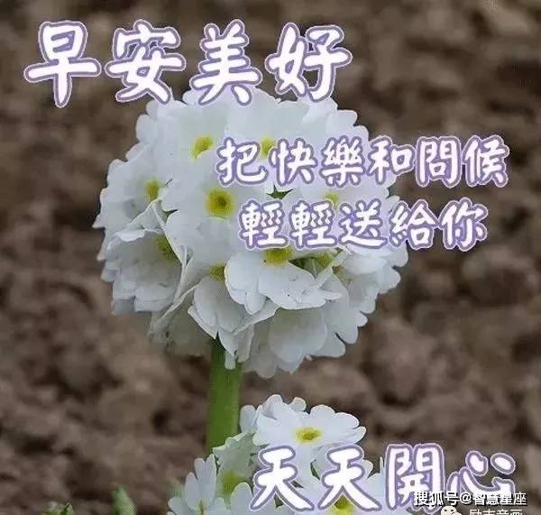 6月19日特漂亮的早上好带字早安祝福图片 早上好早安问候表情图片祝福语 星期六 6月19日特漂亮的早上好带字早安祝福图片 早上好早安问候表情图片祝福语 星期六