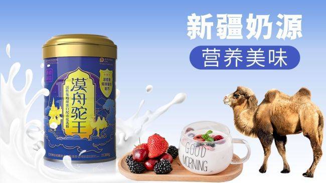 漠舟驼王|骆驼奶大漠深处的黄金 稀少且珍贵!