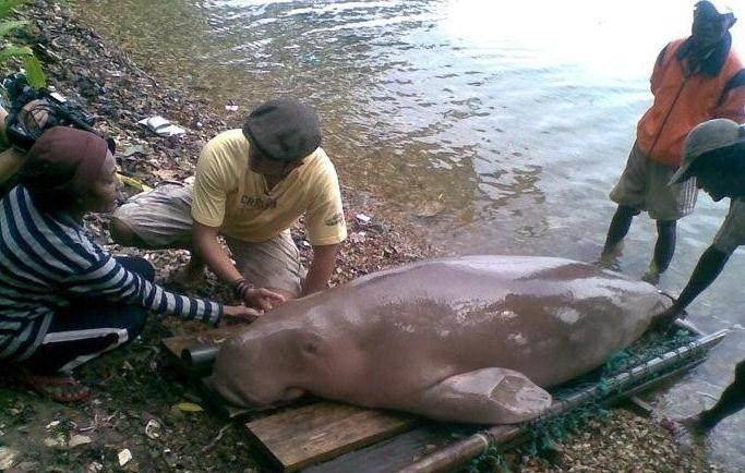 23d7ae4378674e59a8a08dab500e995c.jpeg
