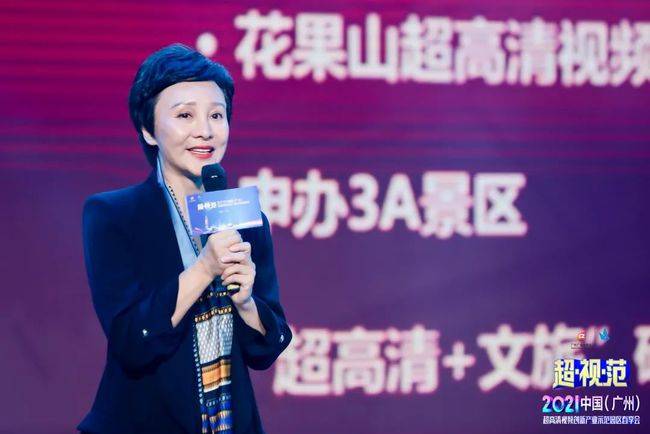 广州广播电视台文化产业中心主任杨露