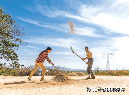 這豐收的場景,記錄著勞動人民的幸福生活.(張永平攝)