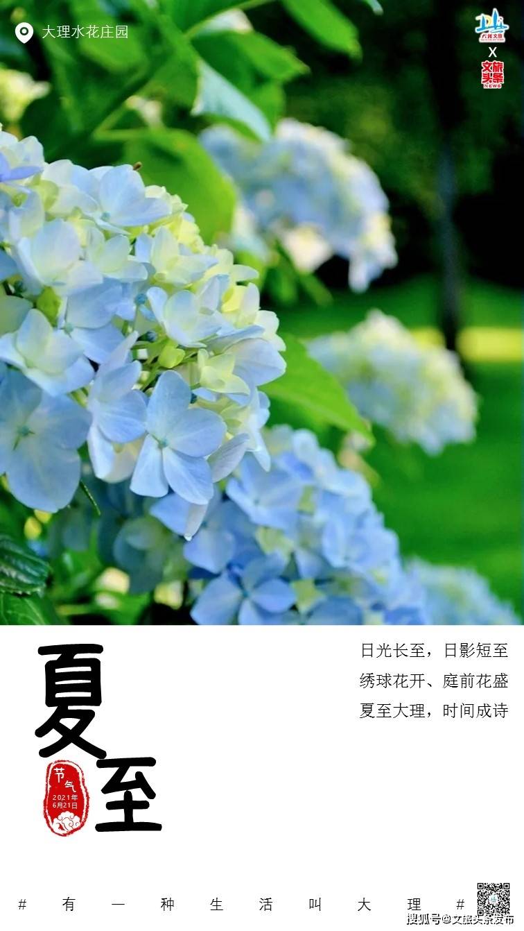 夏至 跟着时节游大理漫步盛夏清凉时光里 清风