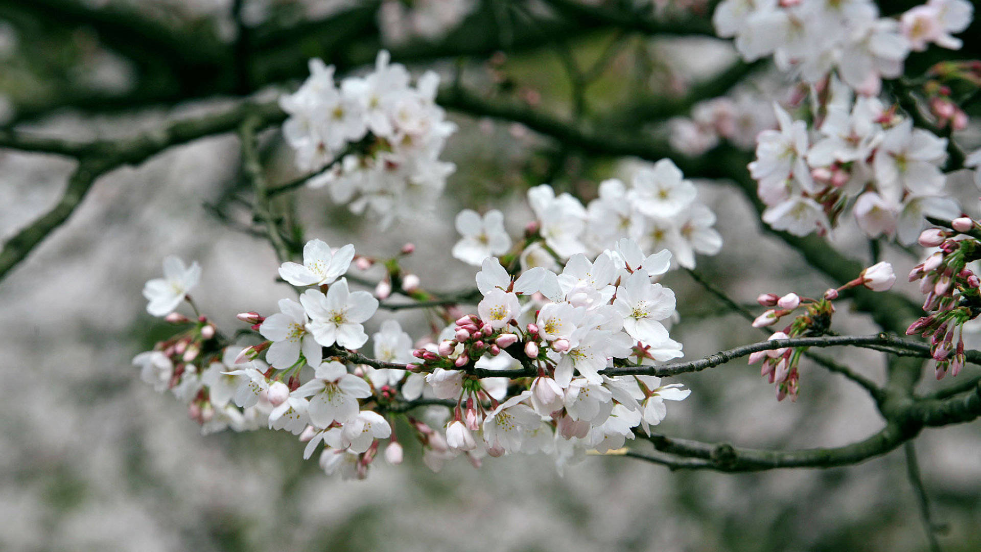 6月21日星座运势 趁热打铁 所向披靡的四大星座 生活