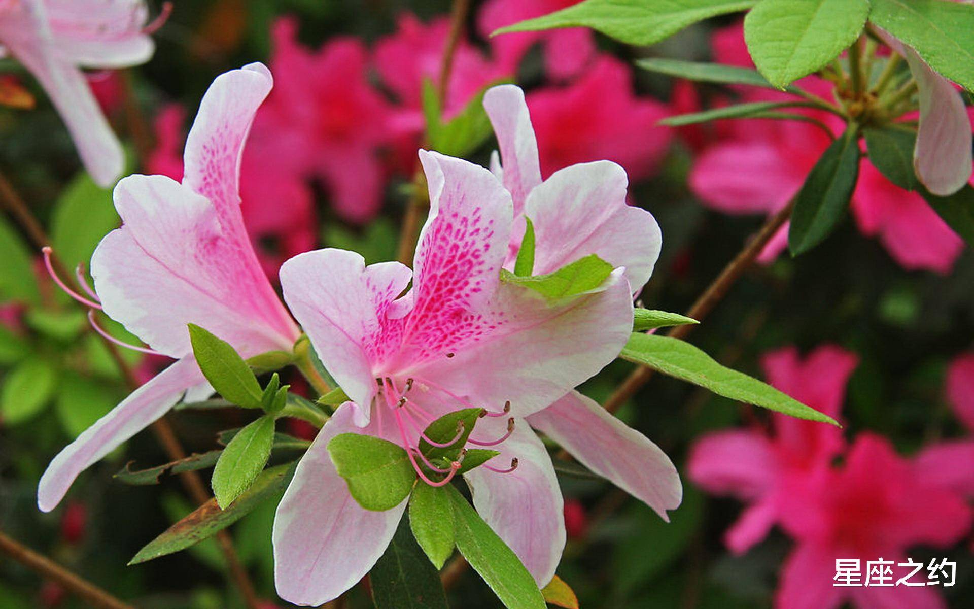 12月13日星座运势 白羊座团结互助 摩羯座竭尽全力 工作 12月13日星座运势 白羊座团结互助 摩羯座竭尽全力 工作