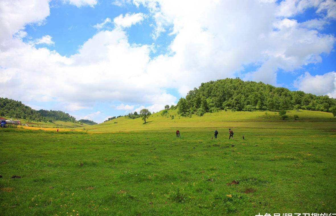 陕西版的"小天山"又被誉为"阿尔卑斯",是草原也是牧场