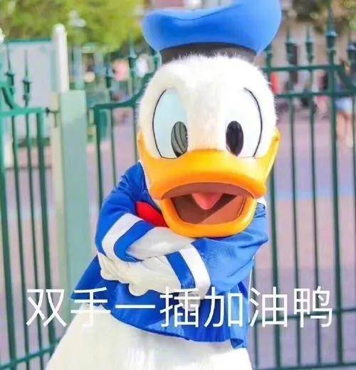 186c6ed825e348f08e3c22b2d24192a1.jpeg
