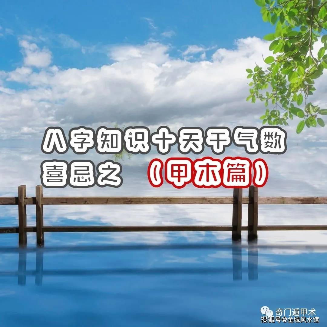 简单学八字八字知识十天干气数喜忌之甲木篇