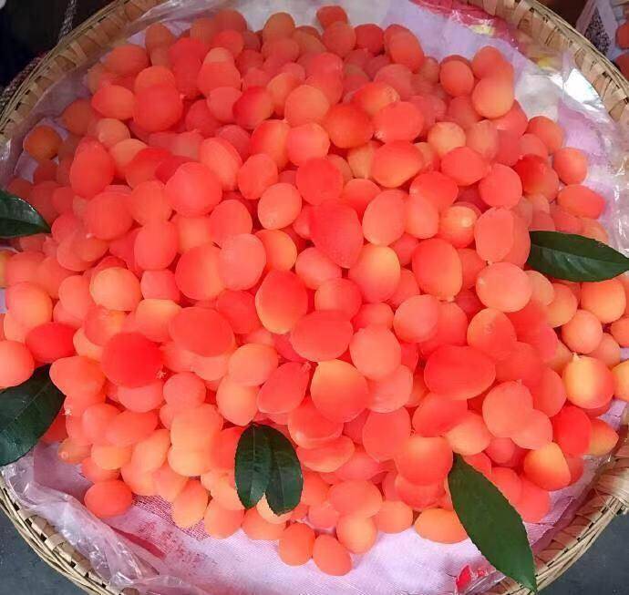 今年春天这种水果30元一斤,看到后,扭头就走,千万别买_金西梅