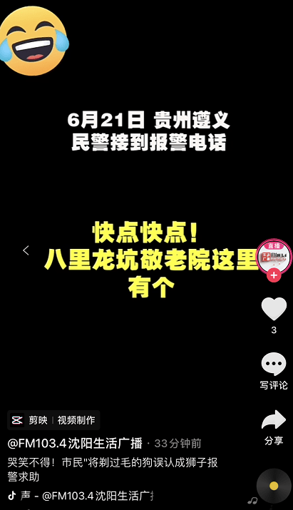 笑哭 市民将剃过毛的狗误认成狮子报警求助网友 这是辛巴被黑得最惨的一次 视频