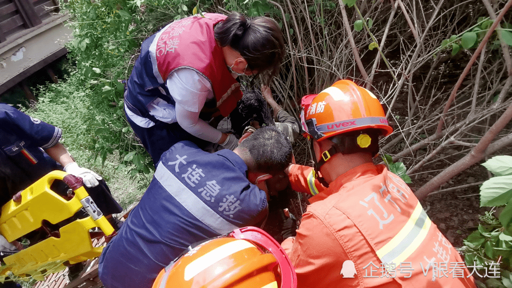 辽宁大连:老太滚下山坡被困半山腰 消防员"穿林开路"救人