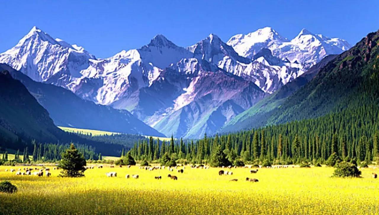 新疆旅游 dbab13b8750946a980f7bde293203416.jpeg