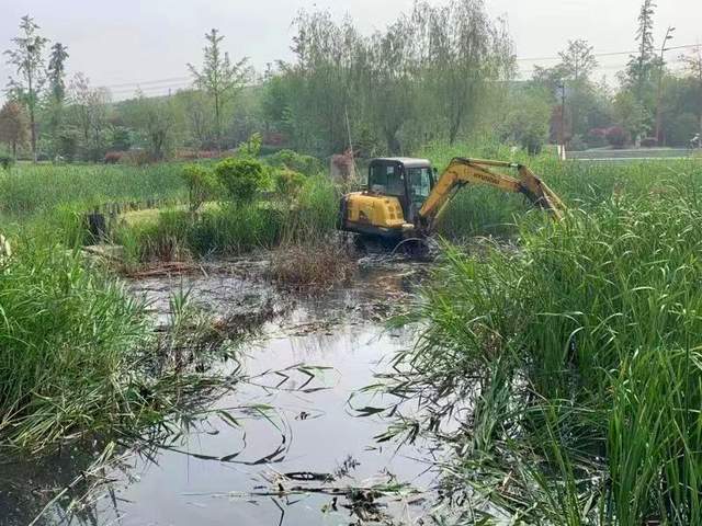 海安市胡集街道谭港村:清理河道垃圾 提升水美乡村的美誉度