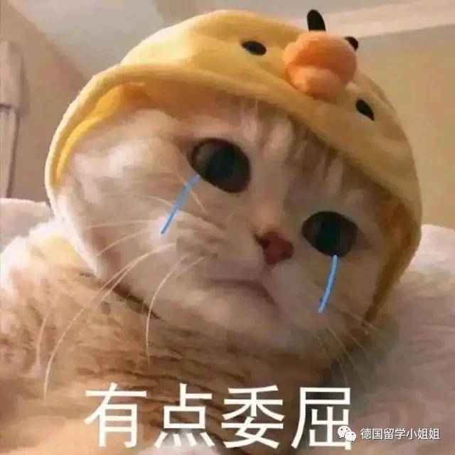 开心的飞起的头像 5a5696e5ca4f489198bf3688454b86e8.jpeg