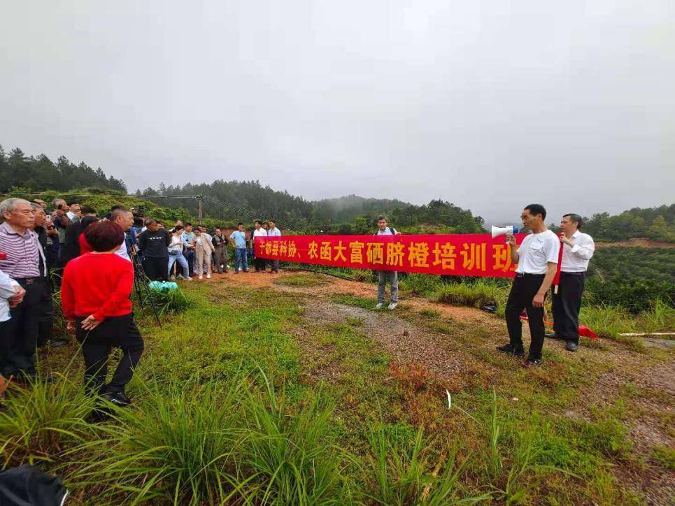 于都县:打好富硒脐橙牌_产业链