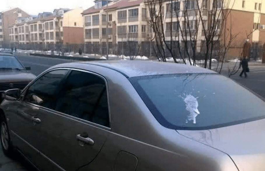b024bdcf73c847b383f6f617d26e0263.png