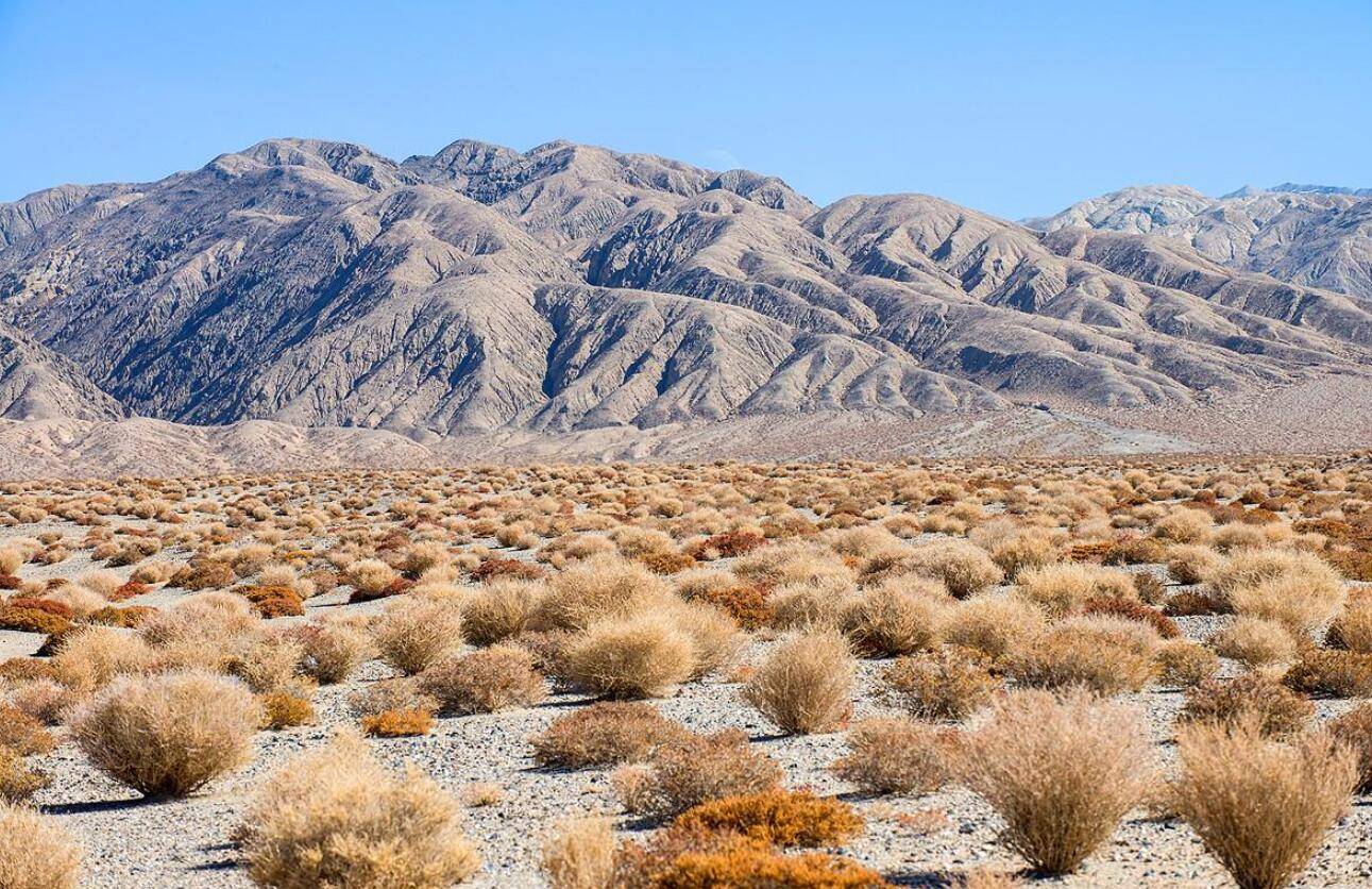 中国的四大无人区至今可能都没有人敢横跨为什么