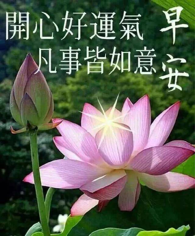 原创最新早上好祝福短信大全 朋友圈送朋友们的早安祝福说说