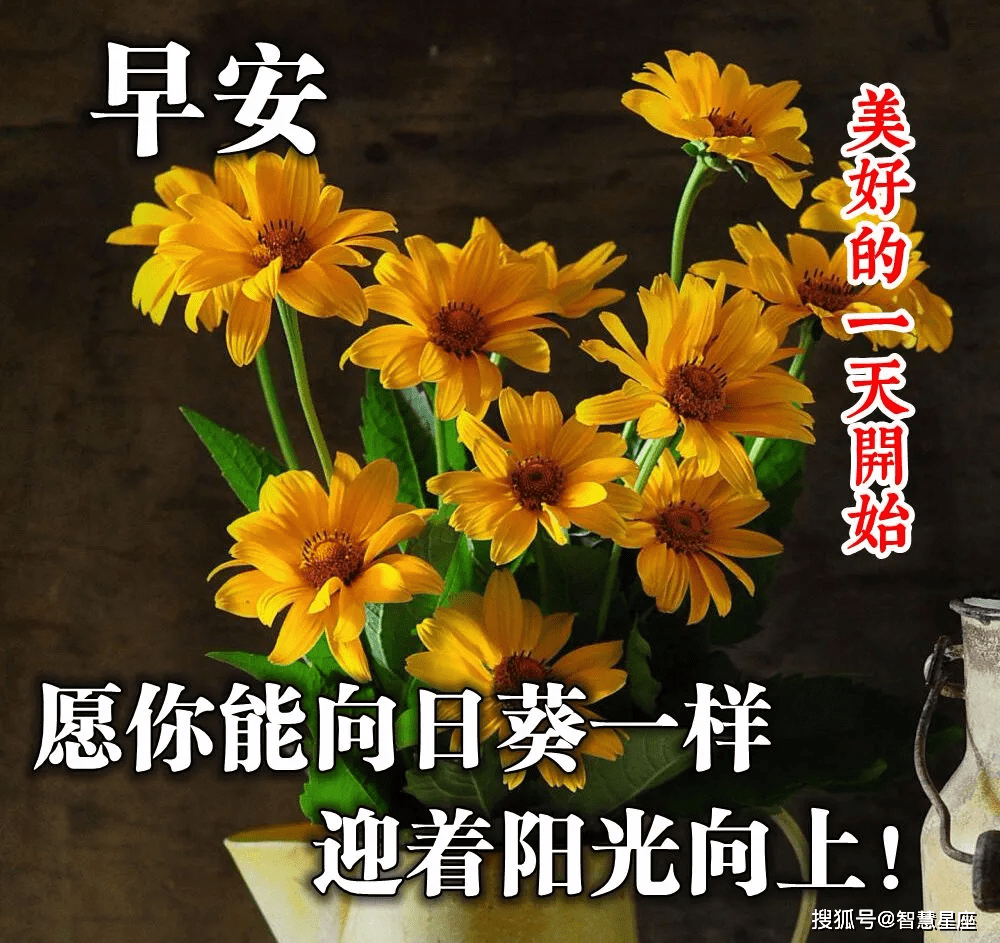 6月25日非常好看早上好温馨祝福语动态图片 清晨发圈早上好暖心问候语短信 朋友