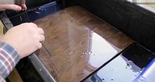 菜板发霉还能用吗 f40fada064f44eea9a43543576de3d4a.jpeg