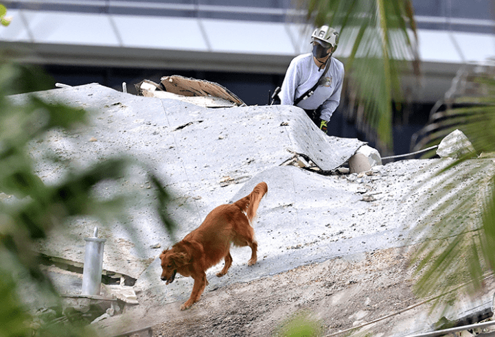 现场照片美国12层公寓倒塌搜救行动持续整夜