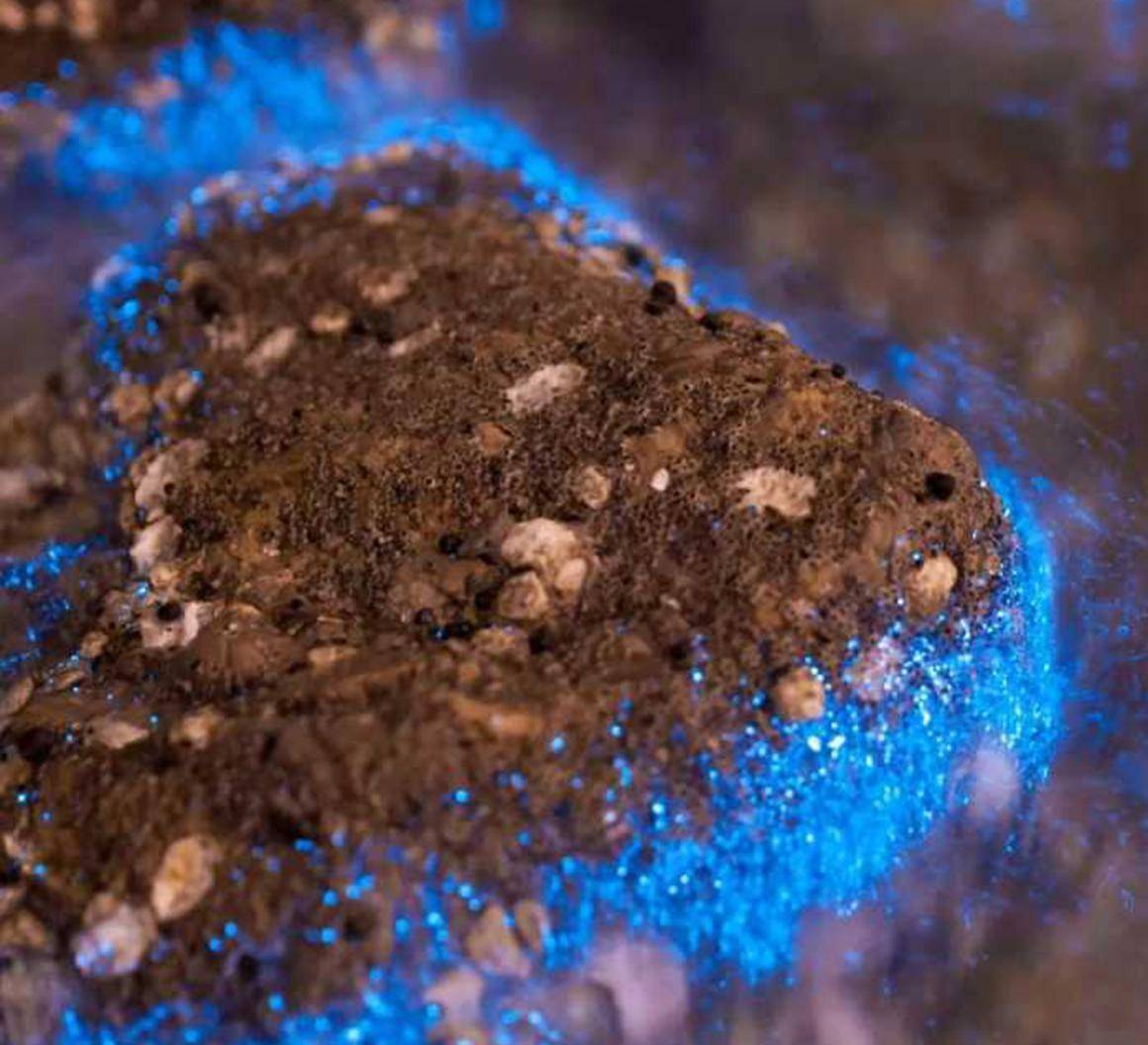 原创繁星坠入大海?葫芦岛现荧光海,了解其科学原理后,还认为它美吗