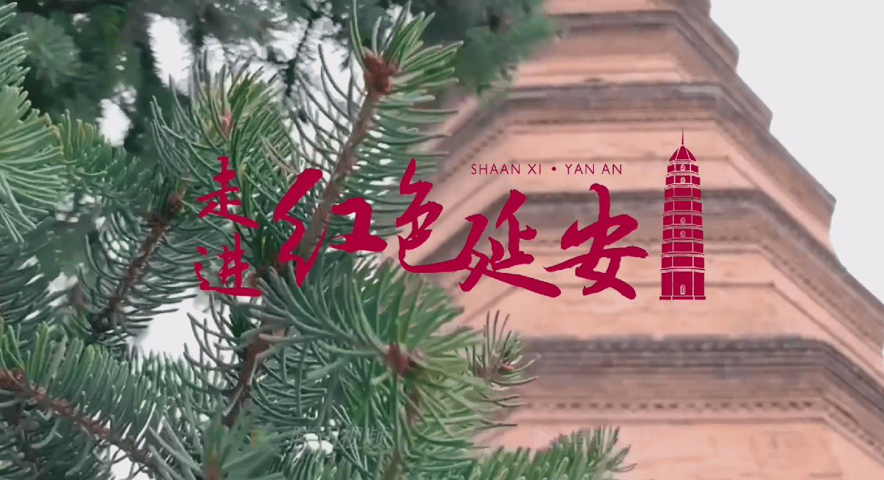 几回梦里回延安双手搂定宝塔山