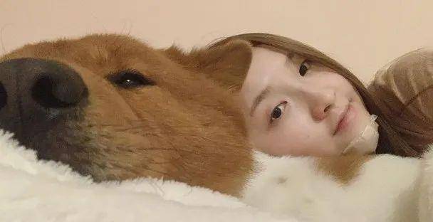 梦境奇遇，女友诞下萌宠小狗，情感与忠诚的深层寓意