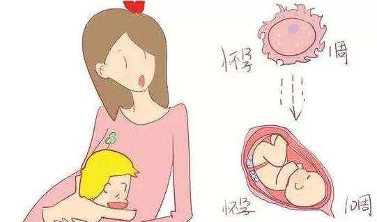 efedb6830c244798afbf3767d83cd766.jpeg
